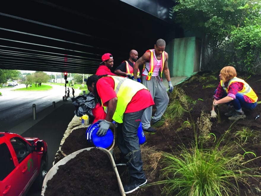 Williams Creek Consulting